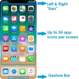 iPhone 8 Home Screen Layout