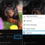 facebook video chosen for download
