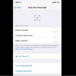 ios 11 face id settings screen