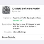 installed ios 11 beta software profile