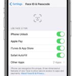 iphone x reset face id option