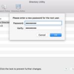 setting up a password for the root user to fix macos high sierra superuser bug