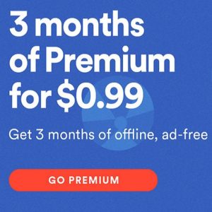 spotify winter holidaysSpotify winter holidays 3-month subscription deal.