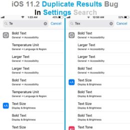 iOS 11.2 duplicate results bug in Settings search.