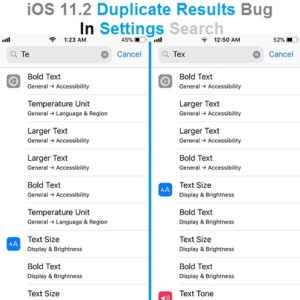 iOS 11.2 duplicate results bug in Settings search.
