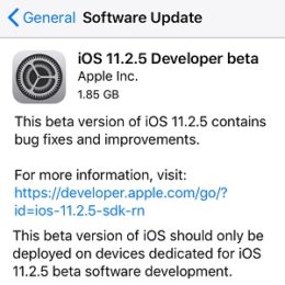iOS 11.2.5 Developer beta.