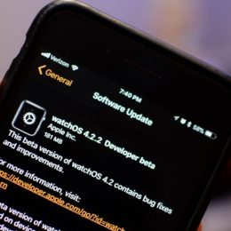 watchos 4.2.2 developer beta software update
