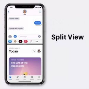 iPhone XS Max split view concept