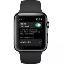 watchOS 5 Raise to Speak Siri feature.