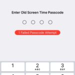 enter old screen time passcode