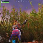 fortnite 6 surprising cornfields