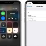 ios 12.1 esim feature