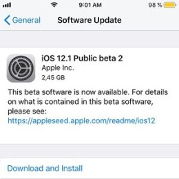 iOS 12.1 Public Beta 2 software update.