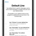 iPhone XS dual sim configuration screen