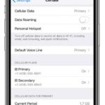 setting up eSIM on iPhone XS