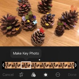 Editing the still image of a Live Photo