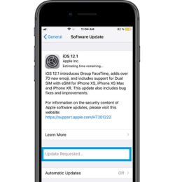 iOS 12.1 Update Requested bug
