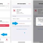 how to cancel apple news+ subscription