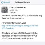 ios 13 developer beta release