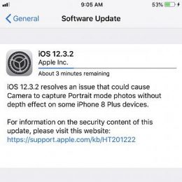 iOS 12.3.2 Software Update for iPhone 8 Plus.