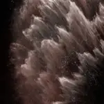 iphone 11 dark mode wallpaper rose for x and xs