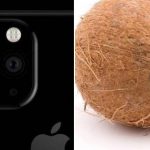 iphone 11 pro coconut meme