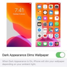 Dark Appearance dims wallpaper setting