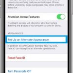 set up an alternate appearance in face id settings