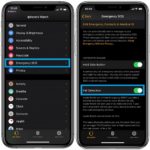 How to enable Apple Watch Fall Detection on iPhone companion app