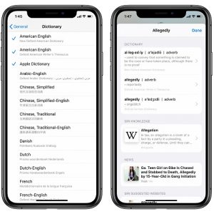 How to use the iPhone dictionary function