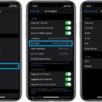 how to configure siri voice and gender