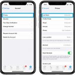 how to hide Last Seen info in WhatsApp