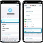 how to set up Medical ID in iOS Health app