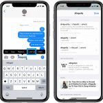 how to use the iphone's dictionary function