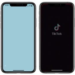 Faulty Facebook SDK crashing iOS apps at launch