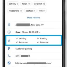 Google Maps Accessible Places feature