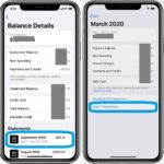 how to export Apple Card monthly transactions from iPhone