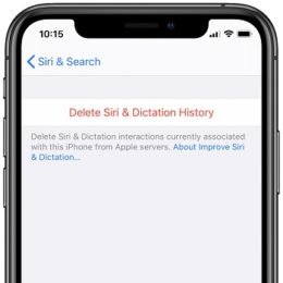 Delete Siri & Dictation History on iPhone