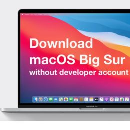 download macOS Big Sur beta without developer account