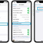 how to delete Siri & Dictation history on iPhone