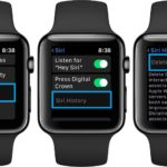 how to delete Siri history on Apple Watch