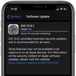 iOS 13.5.1 software update screen