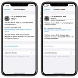 iOS 14 Developer Beta Download