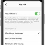 App lock require Face ID setting