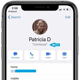 Nickname to Contact on iPhone