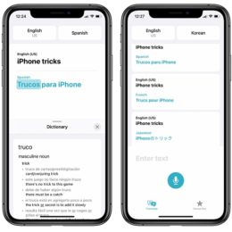 The new iOS 14 Translate app on iPhone