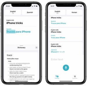 The new iOS 14 Translate app on iPhone