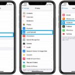 how to change Local Network privacy settings