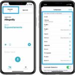 how to download Translate app languages