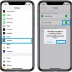 how to enable Translate app on-device mode